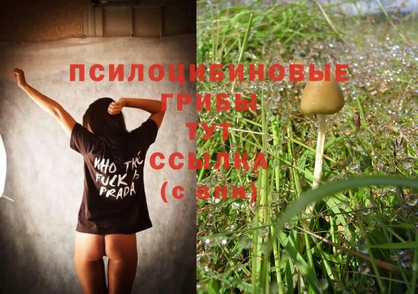 PSILOCYBIN Касимов