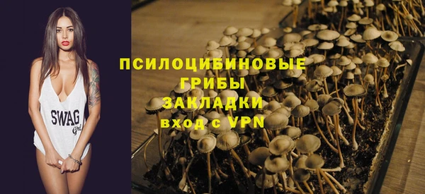 крисы Карталы