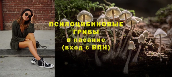 PSILOCYBIN Касимов