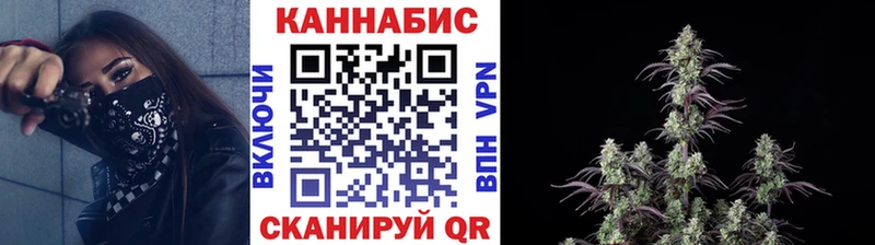 Купить закладки  Болхов  Шишки марихуана сатива 